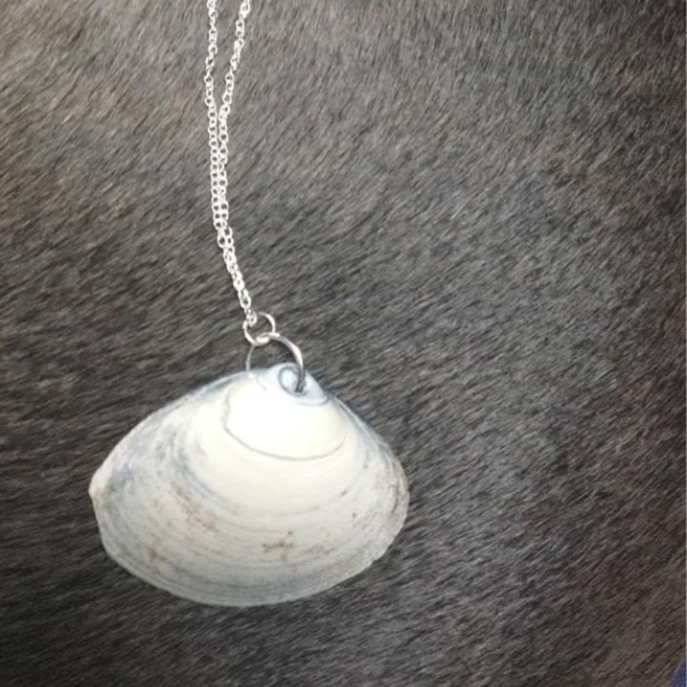 Shell necklace $13